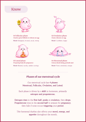 Know card on the menstrual cycle